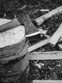 "En yxa och en huggkubbe illustrerar veden och elden som centrala delar i Hikkis värld."